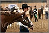 QH061_0183n.jpg(31,3 KB)