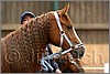QH061_0189n.jpg(32,8 KB)