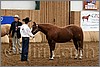 QH061_0190n.jpg(41,3 KB)