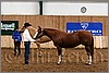 QH061_0191n.jpg(39,4 KB)