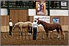 QH061_0192n.jpg(44,6 KB)