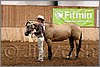 QH061_0194n.jpg(42,2 KB)