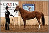 QH061_0195n.jpg(43,8 KB)