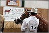 QH061_0197n.jpg(28,2 KB)