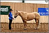 QH061_0198n.jpg(42,8 KB)