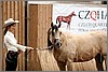 QH061_0199n.jpg(35,4 KB)