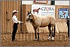 QH061_0200n.jpg(44,8 KB)