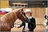 QH061_0203n.jpg(33,5 KB)