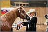 QH061_0204n.jpg(34,1 KB)