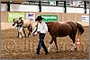 QH061_0207n.jpg(46,2 KB)