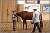 QH061_0209n.jpg(42,8 KB)