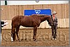 QH061_0210n.jpg(41,3 KB)