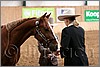 QH061_0212n.jpg(31,0 KB)
