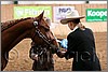 QH061_0213n.jpg(31,9 KB)