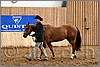 QH061_0216n.jpg(42,4 KB)
