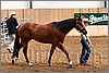 QH061_0217n.jpg(42,5 KB)