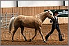 QH061_0218n.jpg(42,3 KB)