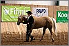 QH061_0219n.jpg(43,1 KB)