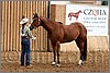 QH061_0220n.jpg(43,5 KB)