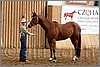 QH061_0221n.jpg(43,4 KB)