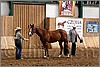 QH061_0222n.jpg(46,9 KB)