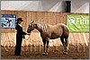 QH061_0223n.jpg(42,4 KB)