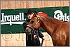QH061_0224n.jpg(32,7 KB)
