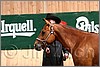 QH061_0225n.jpg(31,9 KB)