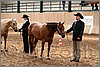 QH061_0227n.jpg(47,8 KB)