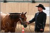 QH061_0228n.jpg(29,7 KB)