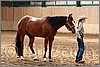 QH061_0230n.jpg(41,1 KB)