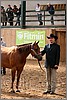 QH061_0236n.jpg(43,8 KB)