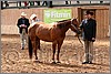 QH061_0237n.jpg(48,6 KB)