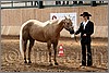 QH061_0239n.jpg(43,4 KB)