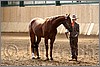 QH061_0240n.jpg(40,5 KB)