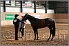 QH061_0241n.jpg(45,2 KB)