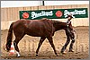 QH061_0245n.jpg(41,1 KB)