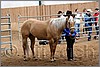 QH061_0247n.jpg(42,8 KB)