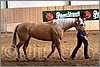 QH061_0249n.jpg(41,6 KB)