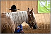 QH061_0250n.jpg(30,1 KB)