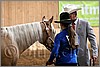QH061_0251n.jpg(33,8 KB)
