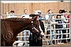 QH061_0253n.jpg(33,8 KB)