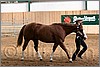 QH061_0254n.jpg(37,0 KB)
