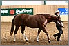 QH061_0255n.jpg(39,2 KB)