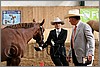 QH061_0256n.jpg(36,3 KB)
