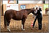 QH061_0258n.jpg(42,4 KB)