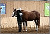QH061_0259n.jpg(38,3 KB)