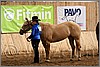 QH061_0260n.jpg(42,7 KB)