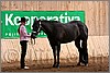 QH061_0262n.jpg(43,2 KB)