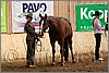 QH061_0263n.jpg(44,3 KB)